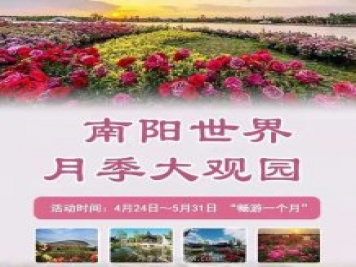 第十二届南阳月季花会4月29日开幕，活动丰富多彩