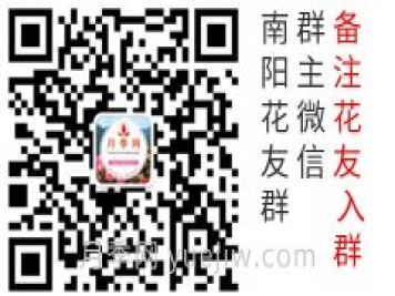 上海龙凤419微信花友群和抖音账号