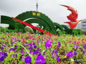 上海松江这里的花坛、花境“上新”啦!特色景观升级!