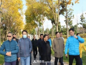 提升城市园林绿化，苏州向上海学什么？